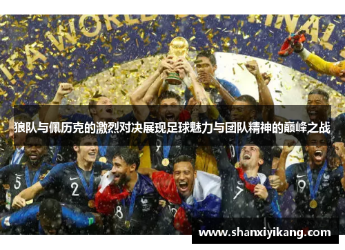 狼队与佩历克的激烈对决展现足球魅力与团队精神的巅峰之战